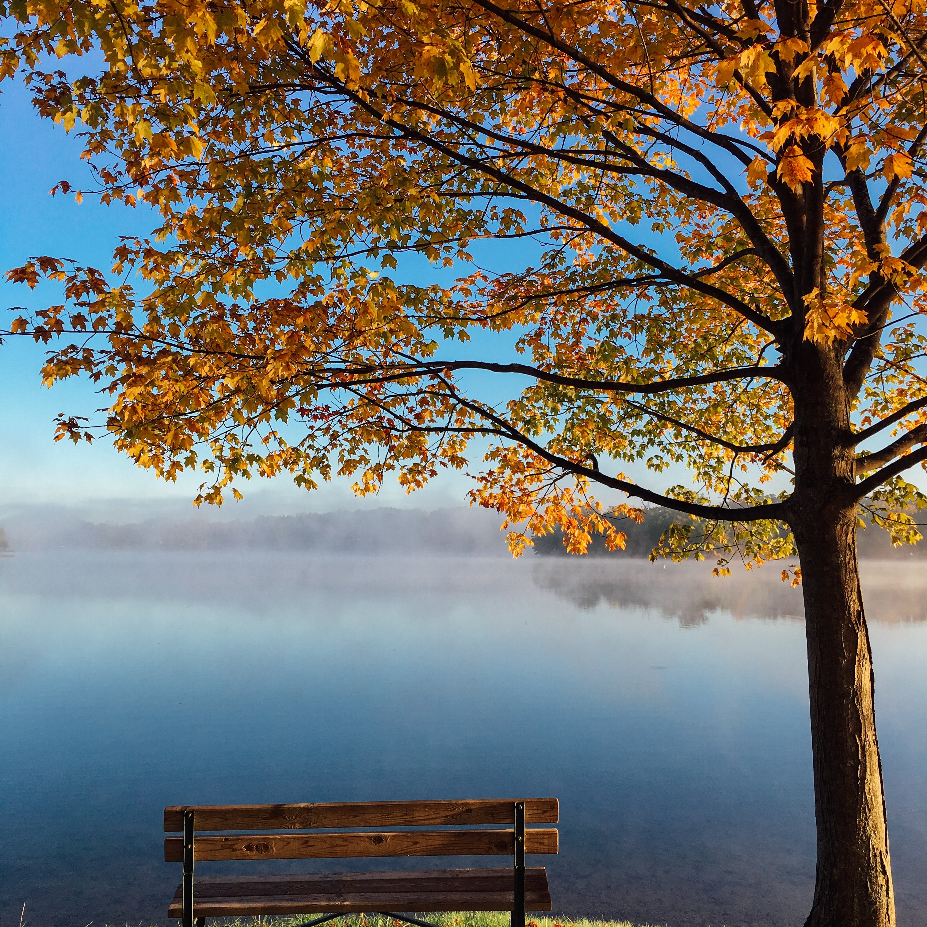 Ayurvedische Self Care im Herbst