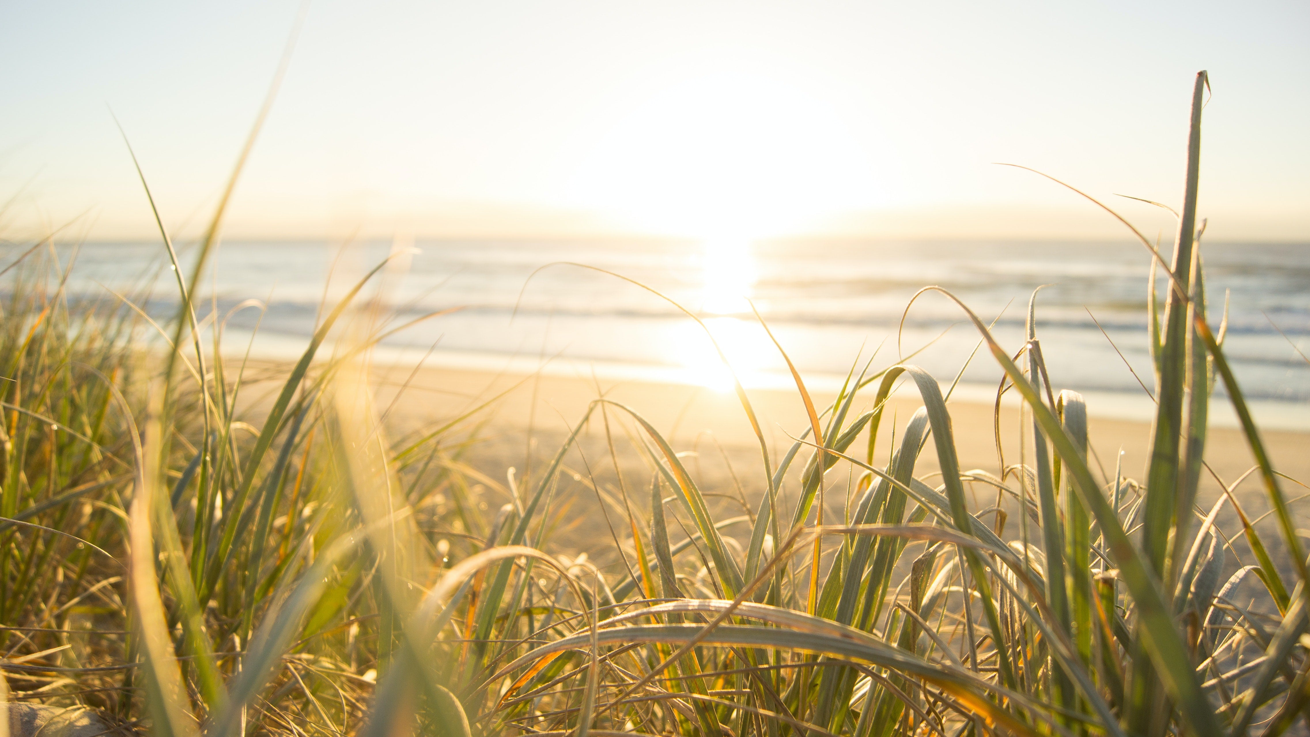 Ayurveda-Tipps für den Sommer